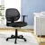 Artiss Mesh Office Chair Black Mid Back Ergonomic Desk Chair with Lumbar Support, Armrests, 50x48cm, Adjustable Height