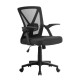 Artiss Mesh Office Chair, Mid Back, Black, 66x66x86-96cm, Ergonomic Design with Lumbar Support and Flip-Up Armrests