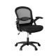 Artiss Mesh Office Chair Mid-Back Ergonomic Computer Desk Chair with Flip-Up Armrests, Adjustable Height, Black