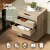 Artiss 5-Drawer Mobile Filing Cabinet, Scratch Beige, 360° Casters, 49x41x62cm, Easy Access, Locking Wheels, 1-Year