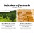 Gardeon 2-Seater Wooden Outdoor Storage Bench – Fir Wood, 114.5x45x88cm, Natural Finish, Sturdy, Easy Assembly