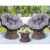 Gardeon Outdoor Lounge Set: Brown Wicker Papasan Chairs, 360° Rotatable, UV-Resistant Cushions, Tempered Glass Table Gardeon Outdoor Lounge Set: Brown Wicker Papasan Chairs, 360° Rotatable, UV-Resistant Cushions, Tempered Glass Table