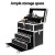 Embellir Portable Cosmetic Beauty Makeup Carry Case, Grade-A Aluminum, Crocodile Black, 28x17.5x31cm, with Mirror