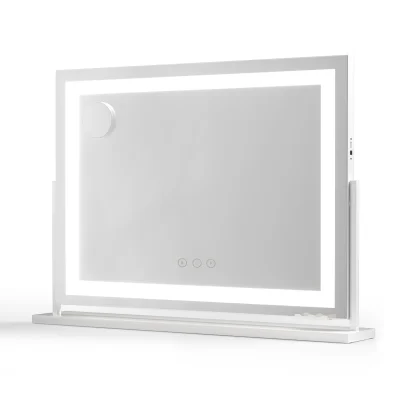 Embellir 80x58cm Makeup Mirror with LED Lights, 360° Rotatable Base, USB Port, Phone Holder, 10x Magnifier, Metal Frame