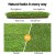 Primeturf 100SQM Artificial Grass 30mm - 4-Colour Realistic Lawn Turf, UV Stabilised, Easy Install, 2m x 5m Rolls