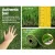 Primeturf 30mm Artificial Grass 2x5m - Realistic 4-Tone, Durable, UV Stabilised, Easy Install, 6-Year Warranty