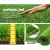 Primeturf 40mm Artificial Grass 1x10m Roll - UV-Stabilised, 4-Colour Synthetic Turf, Natural Look, 6-Year Warranty