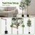 Artiss 180cm Lifelike Artificial Olive Tree – Indoor/Outdoor Décor, UV-Resistant, Maintenance-Free, Cement Base