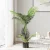 Artiss 100cm Artificial Palm Tree - Lifelike UV-Resistant Indoor Decor with Flexible Branches & Stable Cement Base