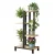 Artiss 4-Tier Plant Stand, Zigzag Design, Metal Frame & Particle Board, Indoor/Outdoor Use, 40x23x75cm, Black/Oak