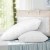 Giselle Bedding Duck Feather Down Pillow Twin Pack 1kg Fill 100% Cotton Shell Hypoallergenic 75x50cm Luxury Pillows Giselle Bedding Duck Feather Down Pillow Twin Pack 1kg Fill 100% Cotton Shell Hypoallergenic 75x50cm Luxury Pillows