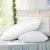 Giselle Bedding Duck Feather Down Pillow Twin Pack 1kg Fill 100% Cotton Shell Hypoallergenic 75x50cm Luxury Pillows