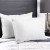 Giselle Bedding Duck Feather and Down Pillow Twin Pack 1kg Filling 100% Cotton Hypoallergenic 73x48cm White Giselle Bedding Duck Feather and Down Pillow Twin Pack 1kg Filling 100% Cotton Hypoallergenic 73x48cm White