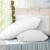 Giselle Bedding Goose Feather Down Pillows Twin Pack 1kg Filling, 100% Cotton Cover, Hypoallergenic, 75x50cm, White Giselle Bedding Goose Feather Down Pillows Twin Pack 1kg Filling, 100% Cotton Cover, Hypoallergenic, 75x50cm, White
