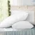 Giselle Bedding Goose Feather Down Pillows Twin Pack 1kg Filling, 100% Cotton Cover, Hypoallergenic, 75x50cm, White