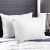Giselle Bedding Goose Feather and Down Pillow Twin Pack, 1kg Fill, 100% Cotton, Hypoallergenic, 75x50cm, White Giselle Bedding Goose Feather and Down Pillow Twin Pack, 1kg Fill, 100% Cotton, Hypoallergenic, 75x50cm, White