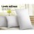 Giselle Bedding Goose Feather and Down Pillow Twin Pack, 1kg Fill, 100% Cotton, Hypoallergenic, 75x50cm, White Giselle Bedding Goose Feather and Down Pillow Twin Pack, 1kg Fill, 100% Cotton, Hypoallergenic, 75x50cm, White