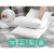 Giselle Bedding 4-Pack Hotel Family Pillows Set, 2 Firm & 2 Medium, 100% Cotton Cover, Polyester Fill, 48x73cm