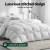 Giselle Bedding 700GSM Duck Down Feather Quilt Double - Luxurious Winter Blanket with 100% Cotton Cover, 210x180cm Giselle Bedding 700GSM Duck Down Feather Quilt Double - Luxurious Winter Blanket with 100% Cotton Cover, 210x180cm