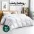 Giselle Bedding 700GSM Duck Down Feather Quilt - 100% Cotton, Single Size, Winter Warmth & Comfort, Mite Resistant