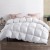 Giselle Bedding Queen Goose Down Feather Quilt - 700GSM, Lightweight, 100% Cotton Cover, Mite & Mould Resistant Giselle Bedding Queen Goose Down Feather Quilt - 700GSM, Lightweight, 100% Cotton Cover, Mite & Mould Resistant