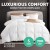 Giselle Bedding 700GSM Goose Down Feather Quilt Single - Lightweight, Breathable, 100% Cotton Cover, Mite-Resistant