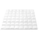 Giselle Bedding 800GSM Double Goose Down Feather Quilt - Winter Comforter with 100% Cotton Cover, Mite Resistant