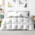 Giselle Bedding 800GSM Goose Down Feather Quilt Queen - Luxurious Comfort, 100% Cotton Cover, Mite Resistant