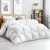 Giselle Bedding 500GSM Goose Down Feather Quilt Queen Size – 100% Cotton Cover, Winter Warmth, Breathable, White