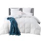 Giselle Bedding 500GSM Goose Down Feather Quilt Queen Size – 100% Cotton Cover, Winter Warmth, Breathable, White Giselle Bedding 500GSM Goose Down Feather Quilt Queen Size – 100% Cotton Cover, Winter Warmth, Breathable, White