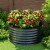 Green Fingers Raised Garden Bed 90x45cm Galvanised Steel Planter Box with Safe Rounded Edges and Easy Latch Assembly