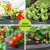 Green Fingers Raised Garden Bed 90x45cm Galvanised Steel Planter Box with Safe Rounded Edges and Easy Latch Assembly
