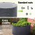 Green Fingers Raised Garden Bed 90x45cm Galvanised Steel Planter Box with Safe Rounded Edges and Easy Latch Assembly