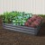 Green Fingers Galvanised Steel Raised Garden Bed 150x90cm – Durable, Rustproof Planter Box for Home Farming