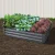 Green Fingers Galvanised Steel Raised Garden Bed 150x90cm – Durable, Rustproof Planter Box for Home Farming