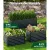 Green Fingers Galvanised Raised Garden Bed 240x80x77cm - Sturdy, Rustproof Planter Box for Vegetables, Herbs & Flowers