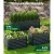 Green Fingers Galvanised Garden Bed 320x80x77cm - Durable, Rustproof Planter Box for Herbs, Vegetables & Flowers
