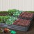 Green Fingers 2x Raised Garden Bed 210x90cm - Galvanised Steel, Anti-Rust, Rounded Edges, Aluminium Grey, Durable