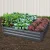 Green Fingers 2x Raised Garden Bed 150x90cm - Galvanised Steel, Rustproof, Safe Edges, Ideal for Vegetables & Herbs