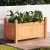 Greenfingers Wooden Raised Garden Bed 60x30x33cm - Eco-Friendly Fir Wood Planter Box, Easy Assembly, Pest Resistant