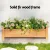 Green Fingers Wooden Garden Bed 65x33x16cm Raised Planter Box, Solid Fir, Pest-Resistant, Legs, for Vegetables & Flowers