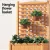 Green Fingers 2X Fir Wood Garden Bed 64x35x115cm with Trellis | Raised Planter Box for Vegetables & Flowers