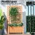 Green Fingers 2X Fir Wood Garden Bed 64x35x115cm with Trellis | Raised Planter Box for Vegetables & Flowers