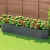 Greenfingers Raised Garden Bed 320x80x56cm - Galvanised SGCC Steel, Rustproof & Durable Planter Box for Veggies & Herbs Greenfingers Raised Garden Bed 320x80x56cm - Galvanised SGCC Steel, Rustproof & Durable Planter Box for Veggies & Herbs