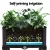 Green Fingers Raised Garden Bed 120x40x36cm Durable PP Planter Box with Drainage, Indoor Outdoor Herb and Veg Container