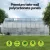 Greenfingers 6x2M Aluminium Greenhouse: Twin-Wall Polycarbonate, Double Doors, UV-Resistant, 39.43m³ Capacity