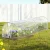 Green Fingers Mini Greenhouse Tunnel 300x45x30cm - Clear PVC & Steel Frame for Frost Protection & Healthy Plant Growth