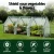 Green Fingers Mini Greenhouse 240x90x90cm - Sturdy Steel Frame & Weather-Resistant PE Cover for Year-Round Plant Growth