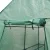 Green Fingers Walk-In Greenhouse 1.9x1.2M - Durable PVC, 4 Shelves, Roll-Up Door, Weather-Proof, Galvanised Steel Frame Green Fingers Walk-In Greenhouse 1.9x1.2M - Durable PVC, 4 Shelves, Roll-Up Door, Weather-Proof, Galvanised Steel Frame