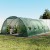 Greenfingers 6x4x2M Walk-in Greenhouse Tunnel | Durable PVC, Steel Frame | All-Weather, Pest-Proof Garden Dome Greenfingers 6x4x2M Walk-in Greenhouse Tunnel | Durable PVC, Steel Frame | All-Weather, Pest-Proof Garden Dome